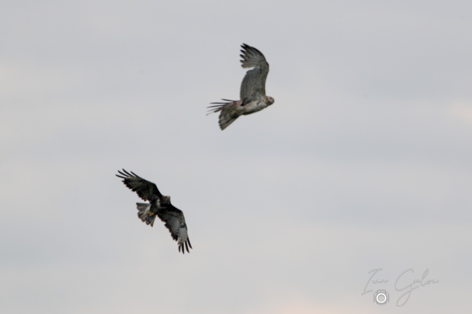 1DX46060 05 juni 2022 0942 45